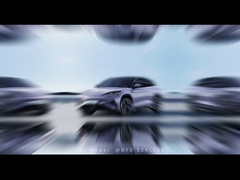 Сеалион07кар