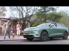 Выдворенный и автомобиль