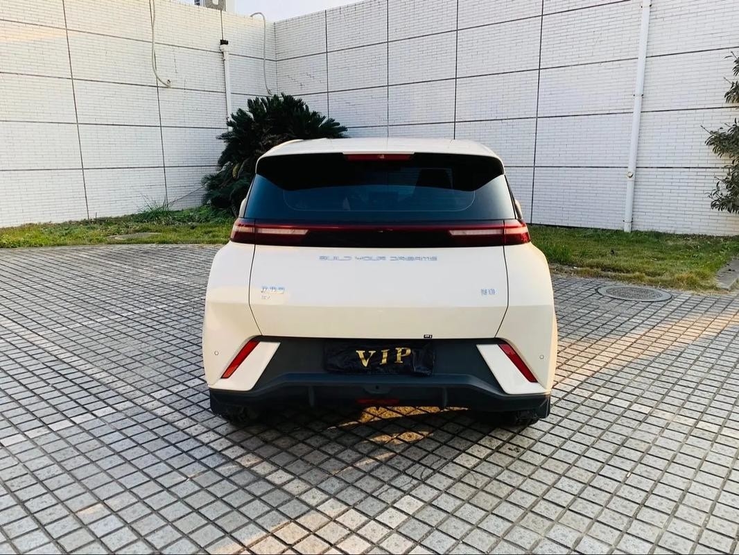 Byd Seagull 2024 Honor Edition 305km Бесплатный выпуск Электрический автомобиль Новые энергетические транспортные средства